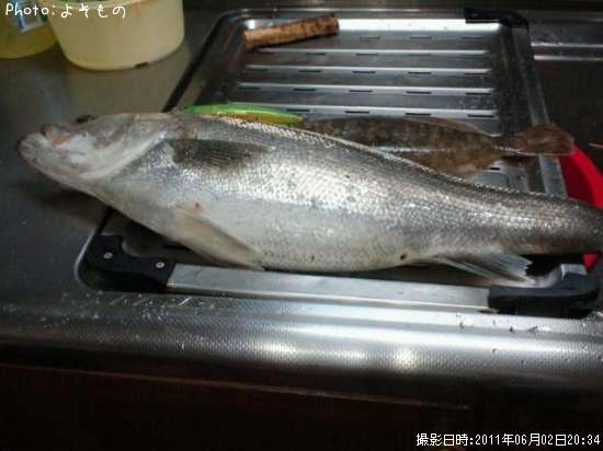 �����Х�