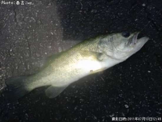 �֥�å��Х�