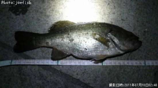 �֥�å��Х�