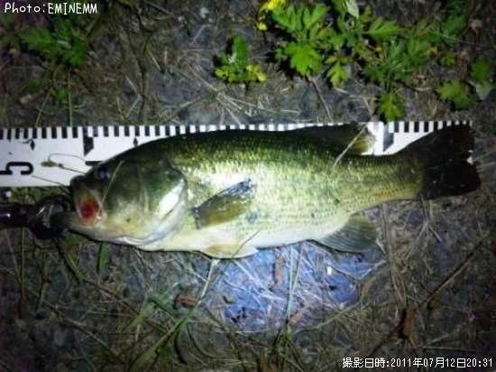 �֥�å��Х�