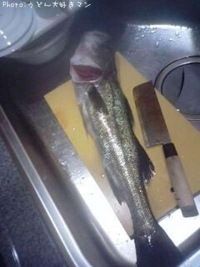 �����Х�