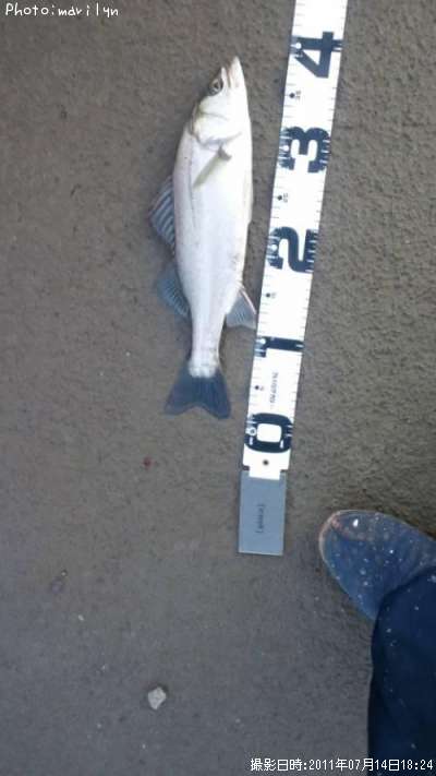 �����Х�