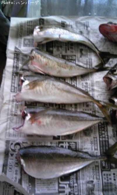 ����������Х�