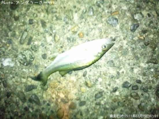 �����Х�