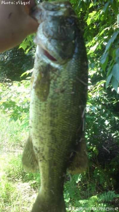 �֥�å��Х�