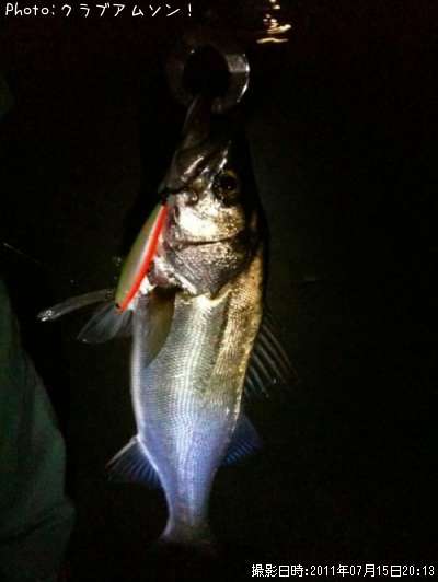 �����Х�