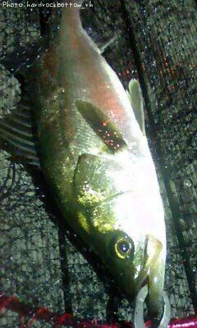 �����Х�