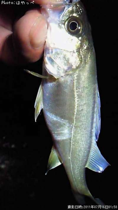 �����Х�