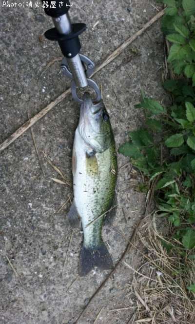 �֥�å��Х�