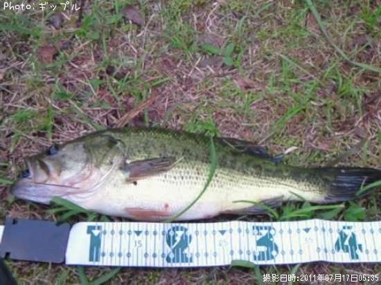 �֥�å��Х�