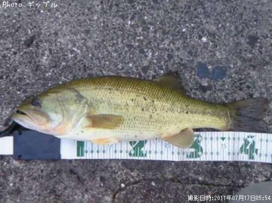 �֥�å��Х�