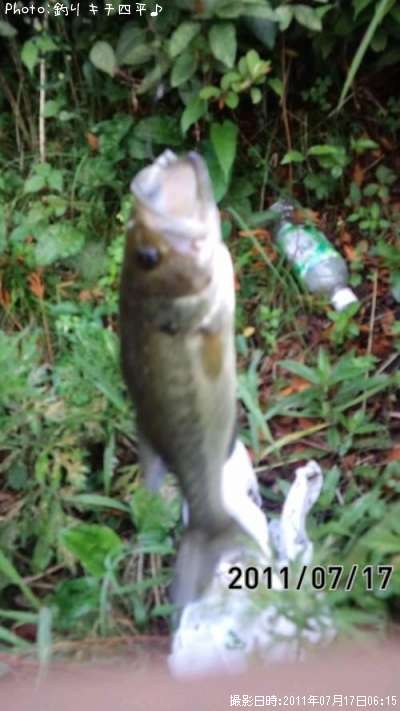 �֥�å��Х�