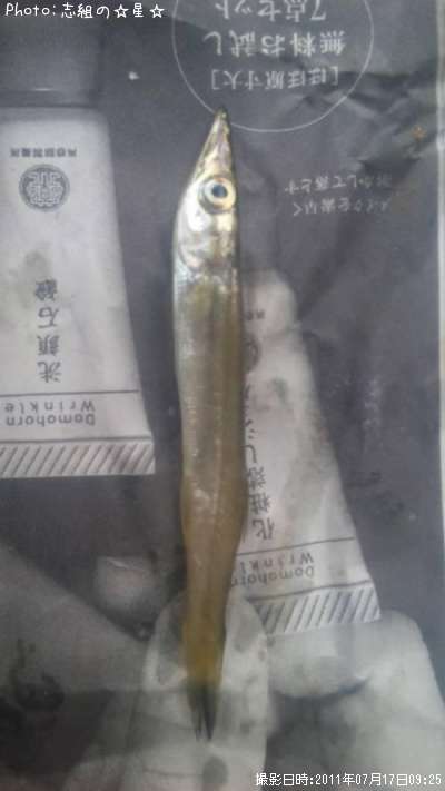 ���ӥ��ޥ�