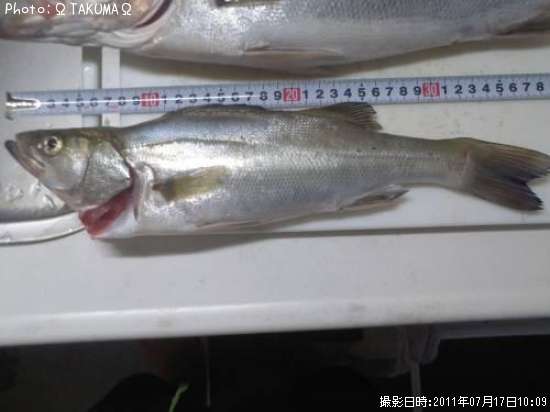 �����Х�