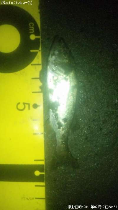 �����Х�