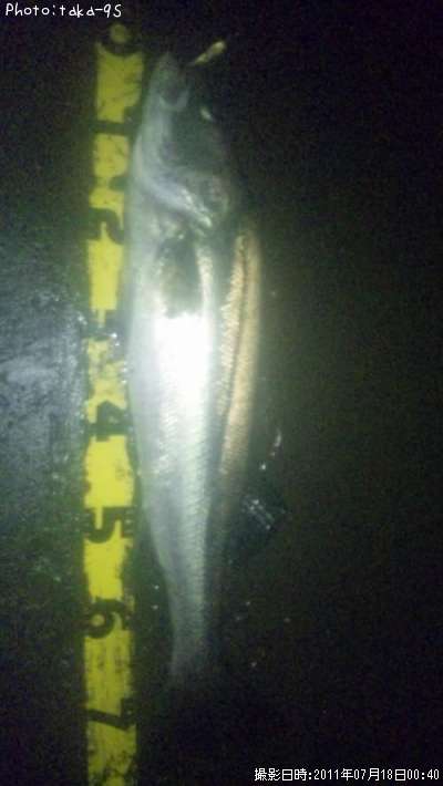 �����Х�