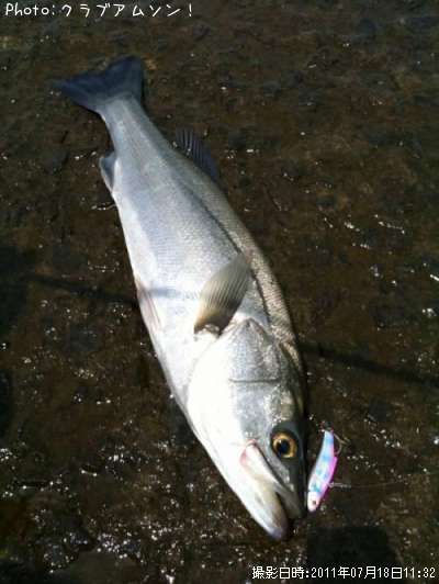 �����Х�