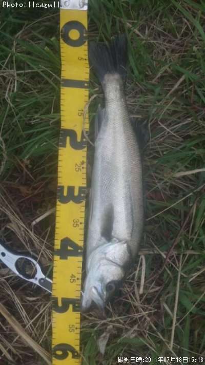 �����Х�