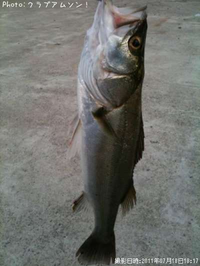 �����Х�