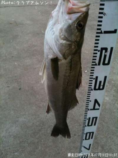 �����Х�