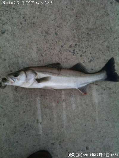 �����Х�