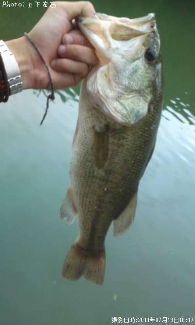 �֥�å��Х�