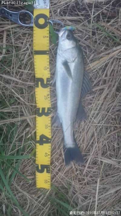 �����Х�