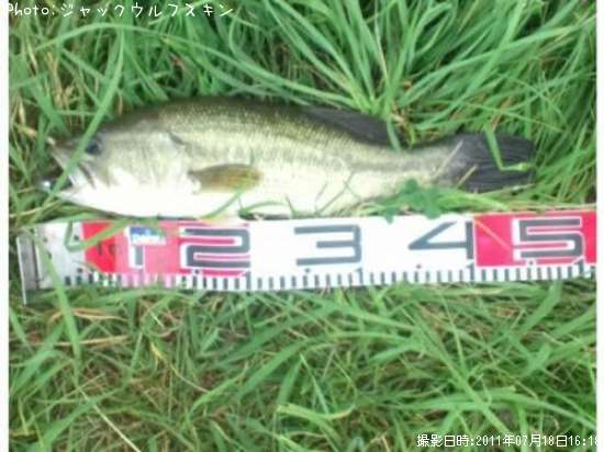 �֥�å��Х�