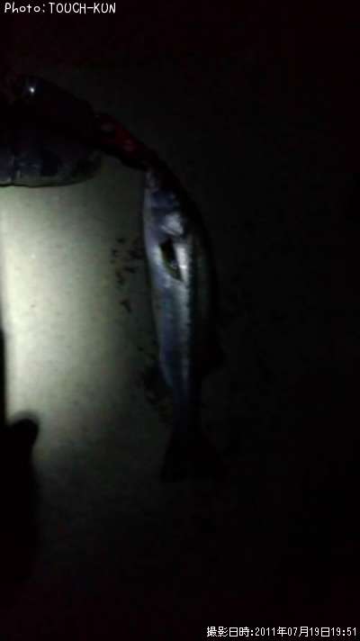 �����Х�