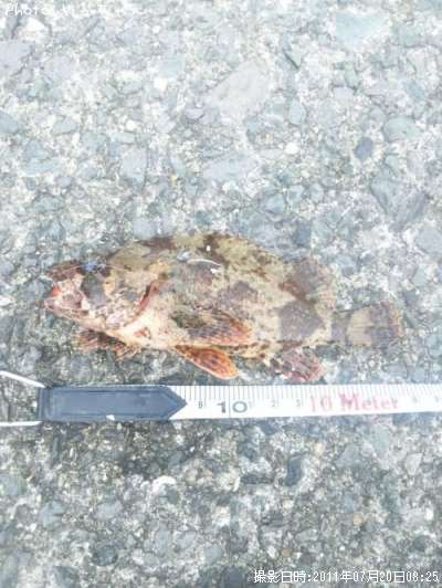 ���������Х�