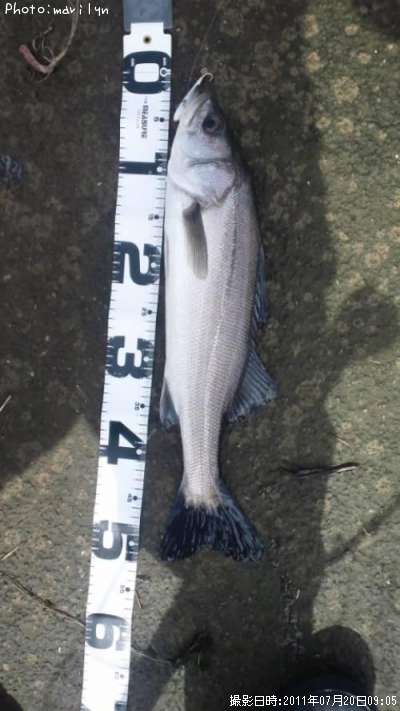 �����Х�