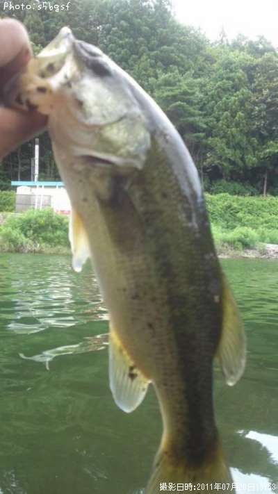 �֥�å��Х�