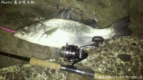 �ҥ饹����