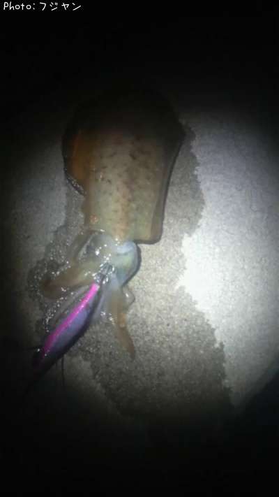 �����ꥤ��