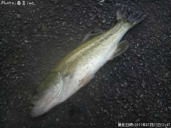 �֥�å��Х�