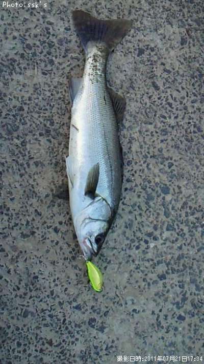 �����Х�