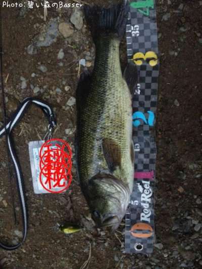 �֥�å��Х�