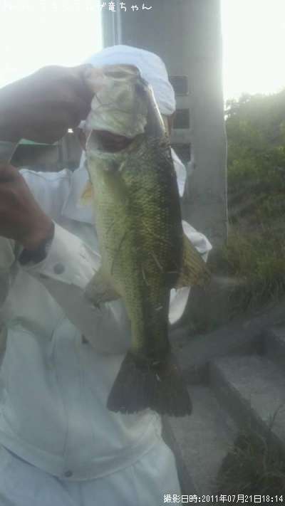 �֥�å��Х�