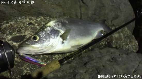 �ҥ饹����