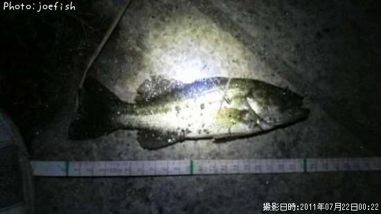 �֥�å��Х�