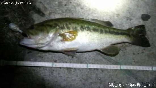 �֥�å��Х�