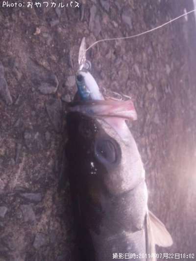 �����Х�