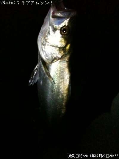 �����Х�