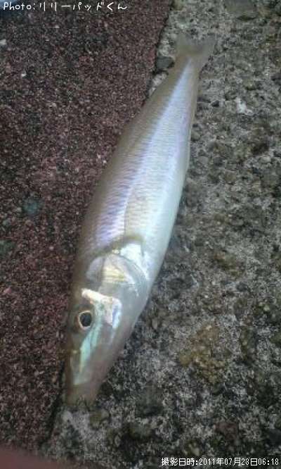 �ѡ���ԥ󥯤ν�����