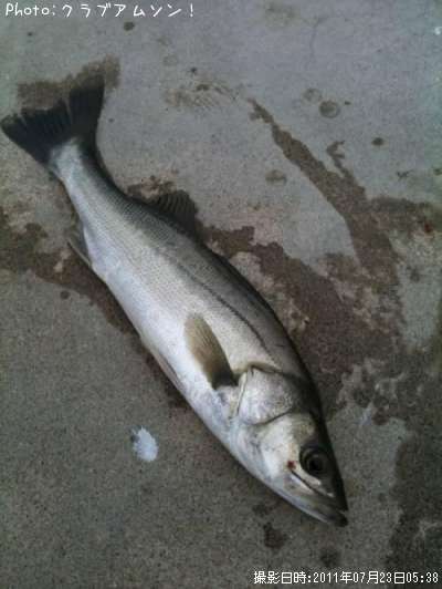 �����Х�