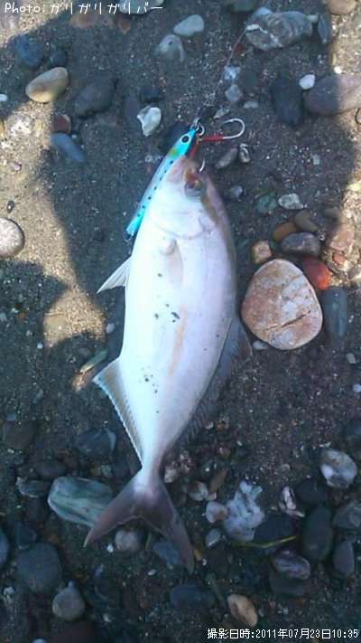 ����ѥ����յ�����