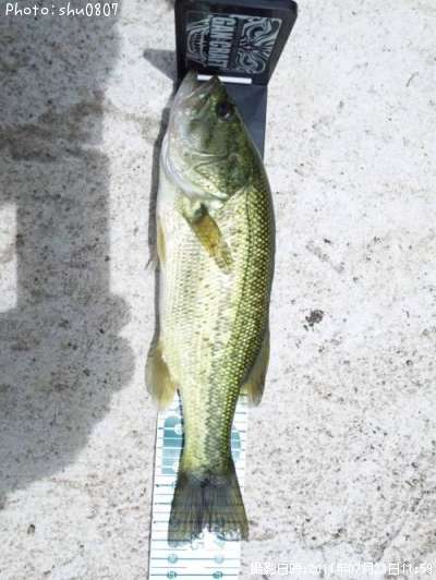 �֥�å��Х�