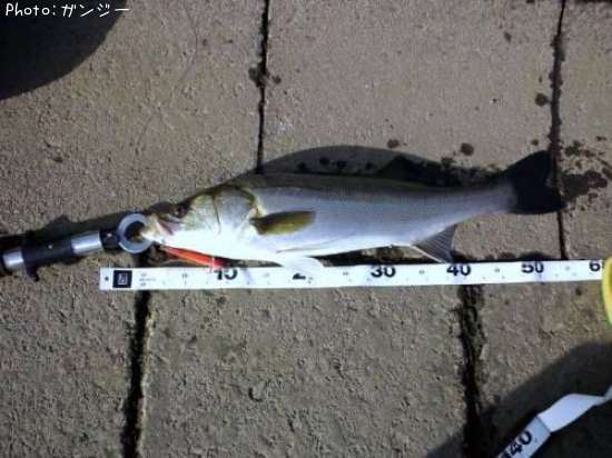 �����Х�