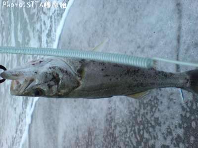 �����Х�