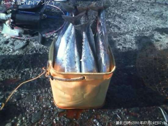 ���������ĥ�